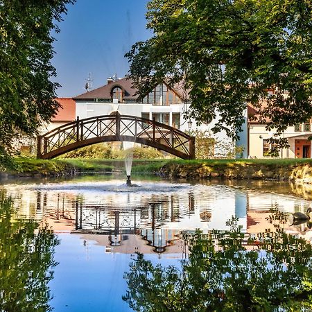 Darovansky Dvur - Wellness & Golf Hotel Brasy Exterior photo