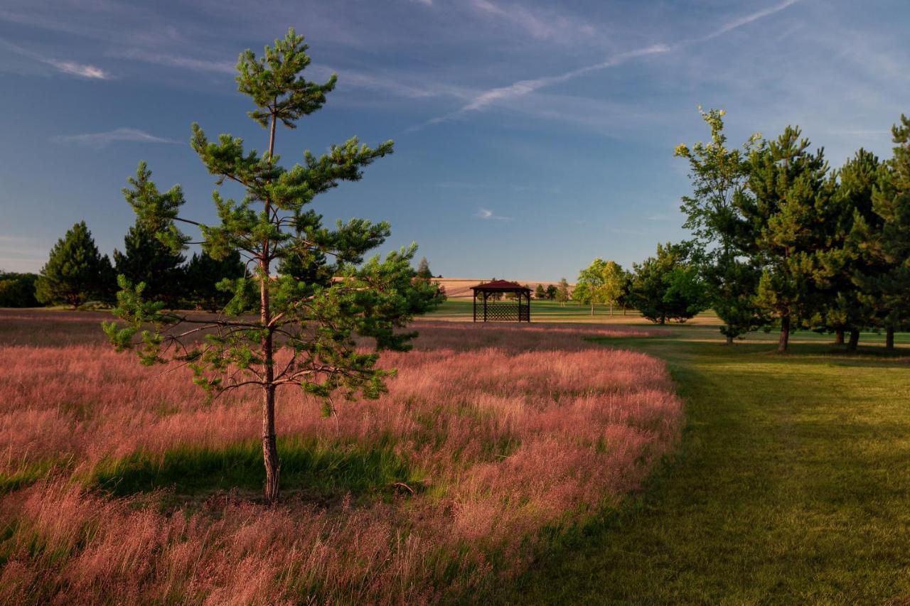 Darovansky Dvur - Wellness & Golf Hotel Brasy Exterior photo